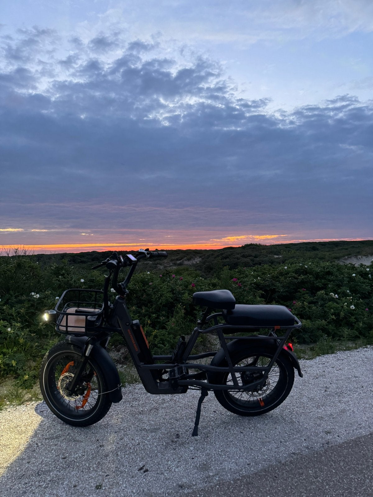 Rad Power Bikes RadRunner 3 plus E-bike, Fietsen en Brommers, Gebruikt, 55 tot 59 cm, 30 tot 50 km per accu, Ophalen