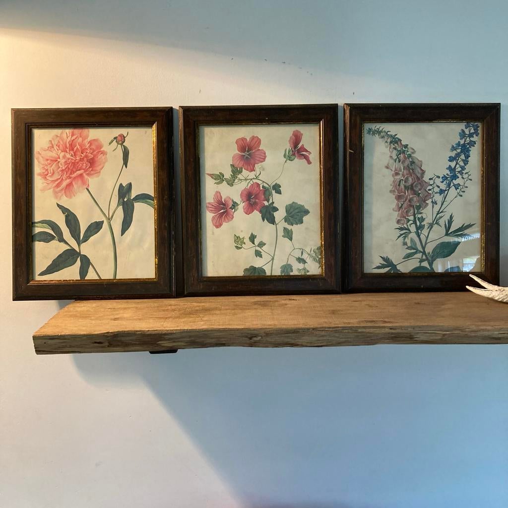 Set van 3 Vintage Bloemenprenten in Houten Lijsten, Ophalen of Verzenden
