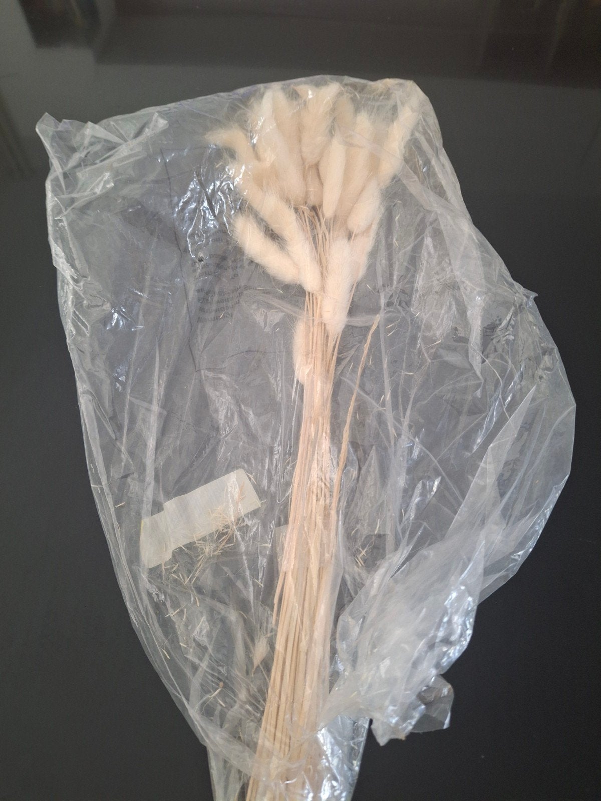 Gedroogde bloemen - Konijnenstaartjes (Lagurus Ovatus), Ophalen of Verzenden, Nieuw