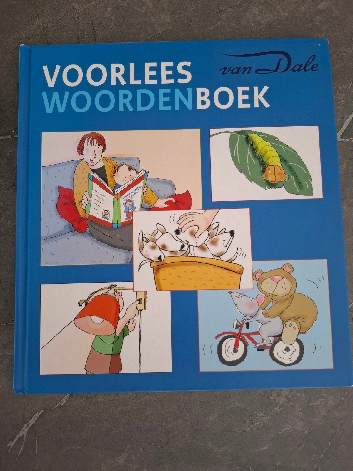 voorlees woordenboek, Ophalen of Verzenden, Zo goed als nieuw, 3 tot 4 jaar
