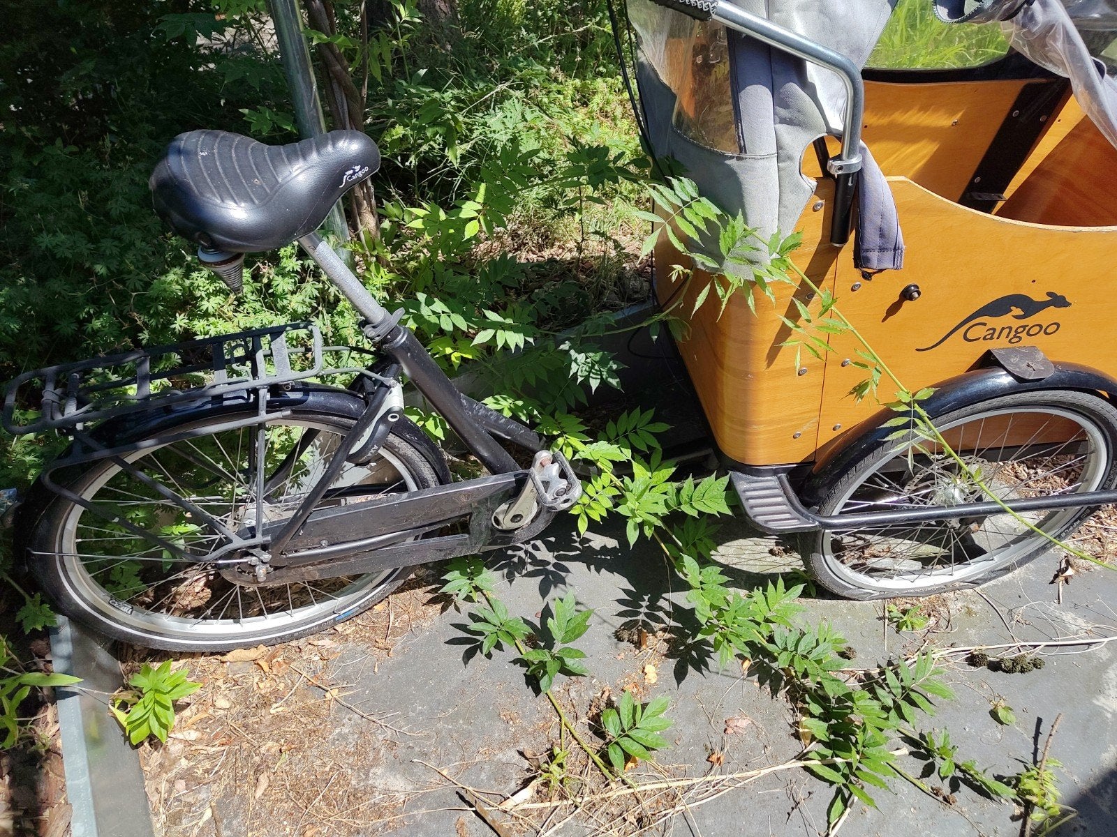 Opknapper! Cangoo Bakfiets met Huif, Ophalen, Gebruikt, 4 kinderen of meer, Huif
