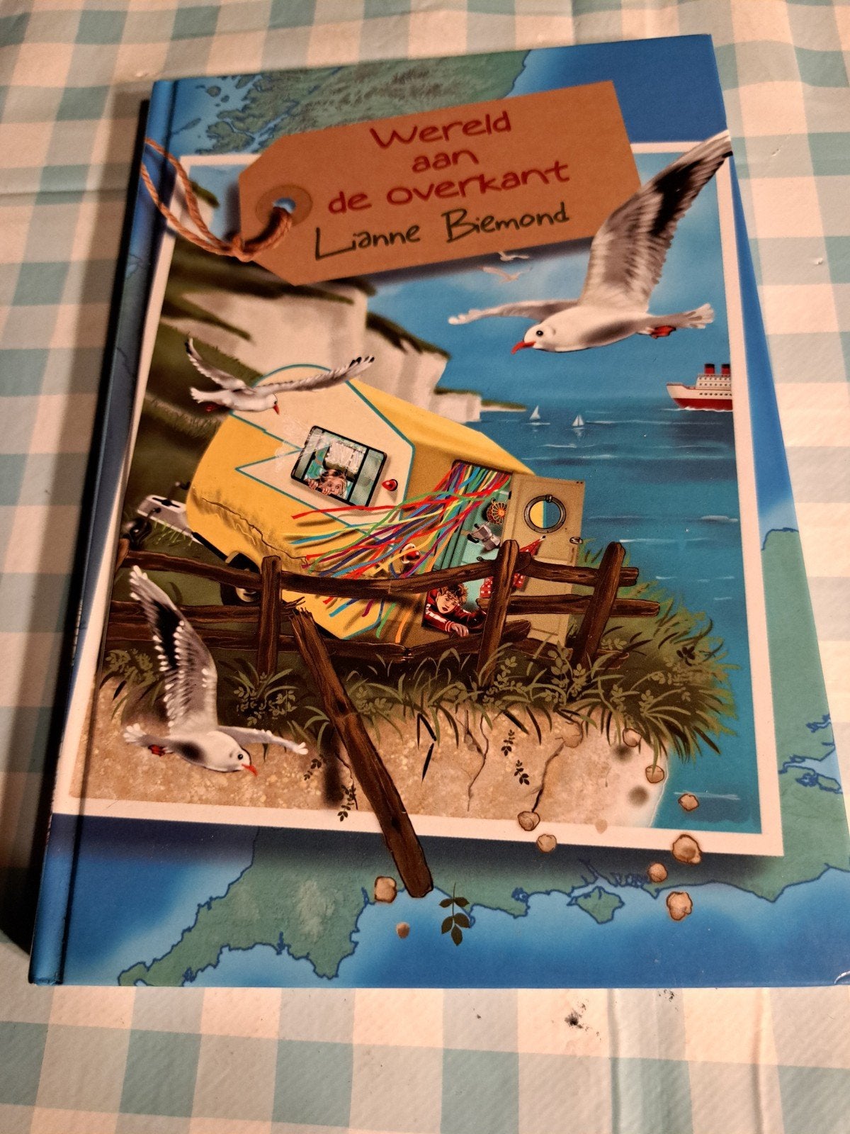K: Wereld aan de overkant - Lianne Biemond, Ophalen of Verzenden, Zo goed als nieuw, Lianne Biemond, Fictie algemeen