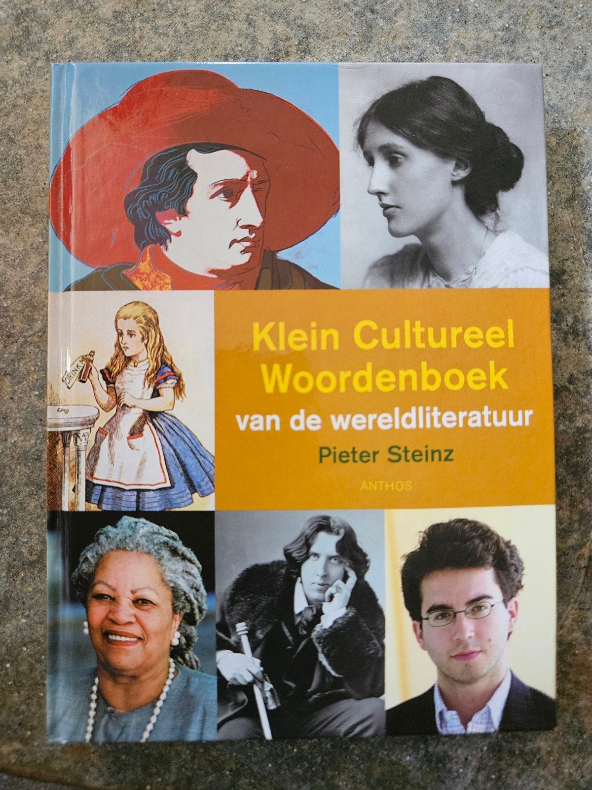 Klein Cultureel Woordenboek van de Wereldliteratuur, Ophalen of Verzenden, Pieter Steinz, Nederland