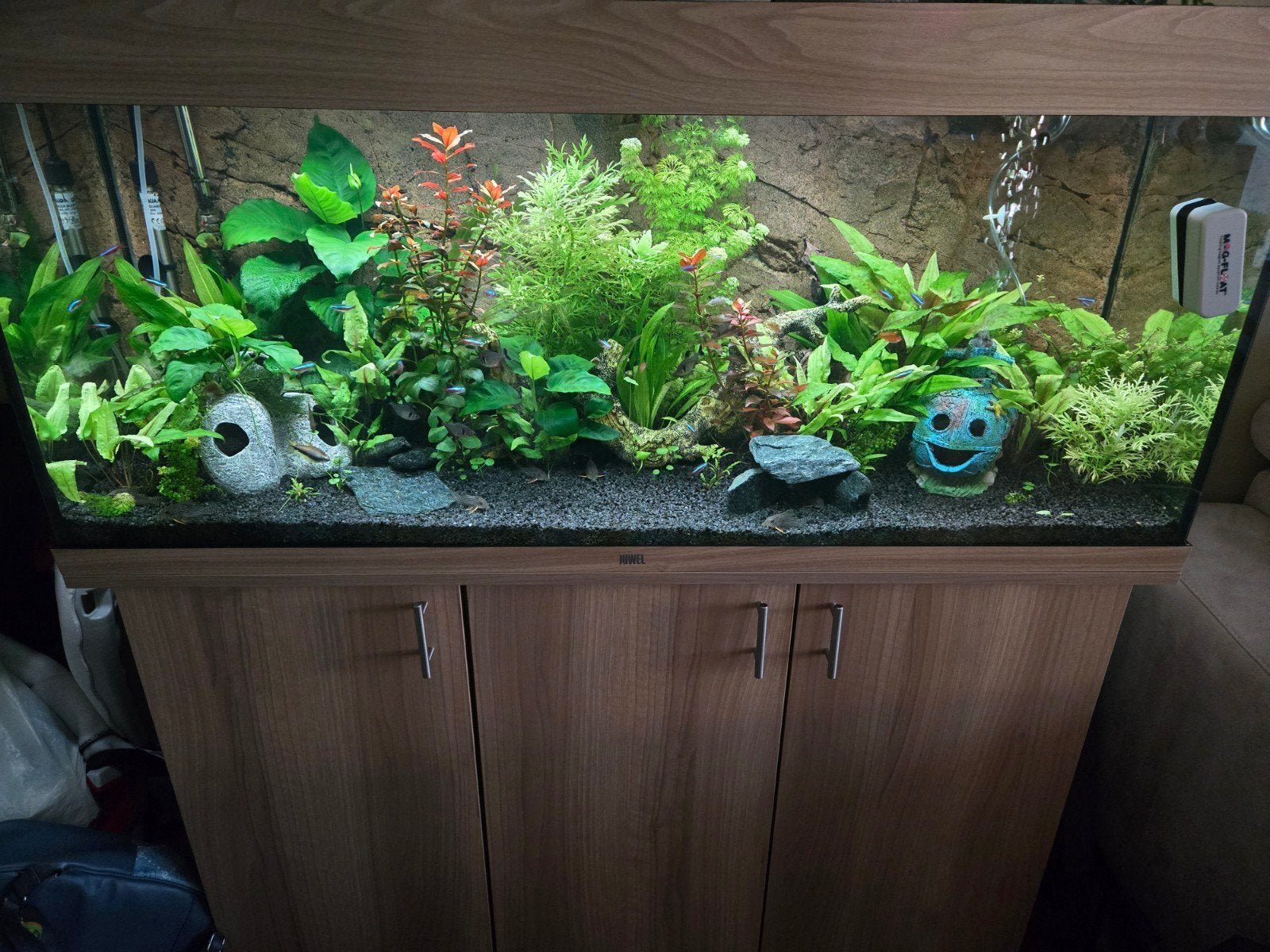 Juwel Rio 240L 120cm - Complete set met vissen + toebehoren, Ophalen, Zo goed als nieuw, Gevuld zoetwateraquarium