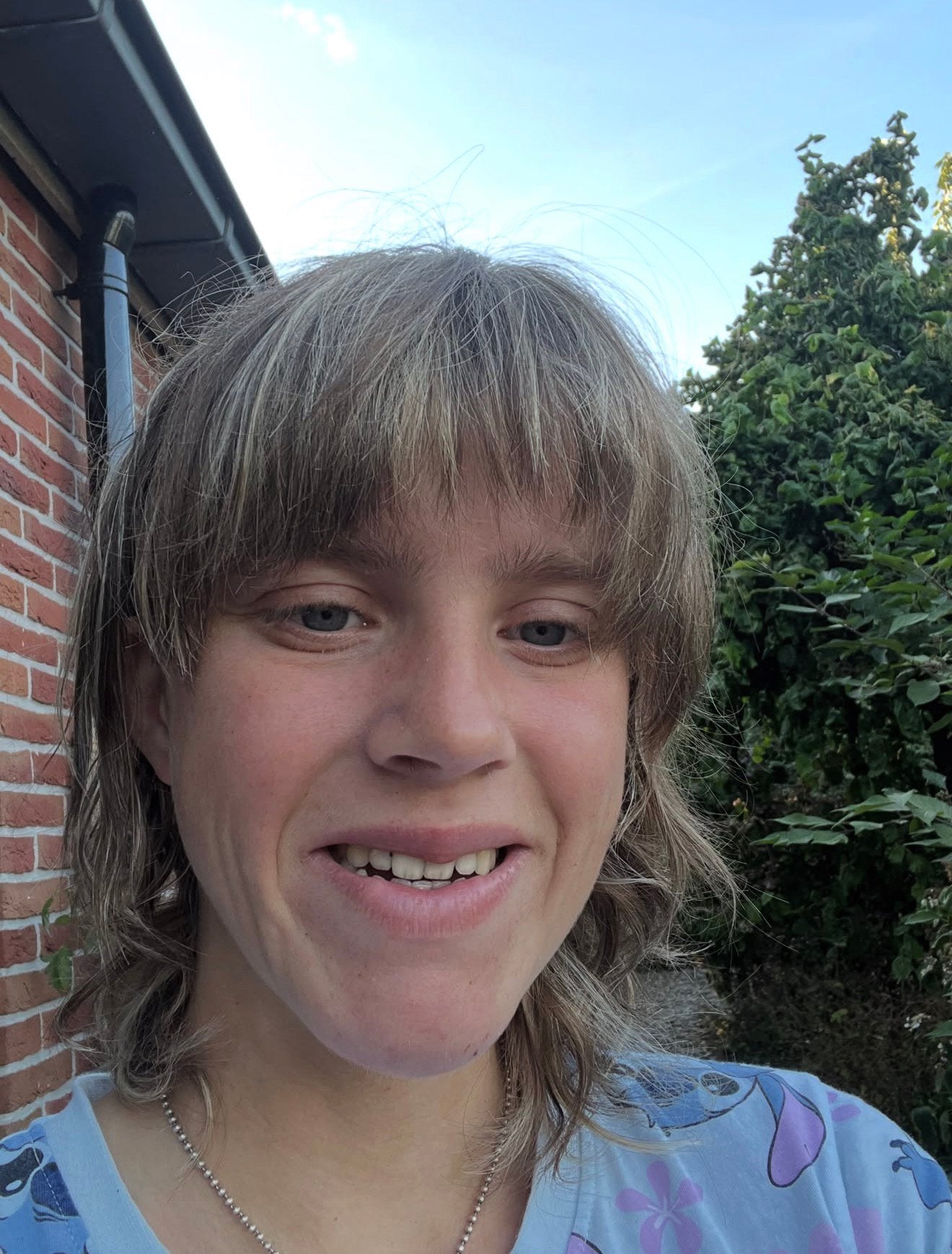 Verzorgpaardje gezocht, Ophalen of Verzenden