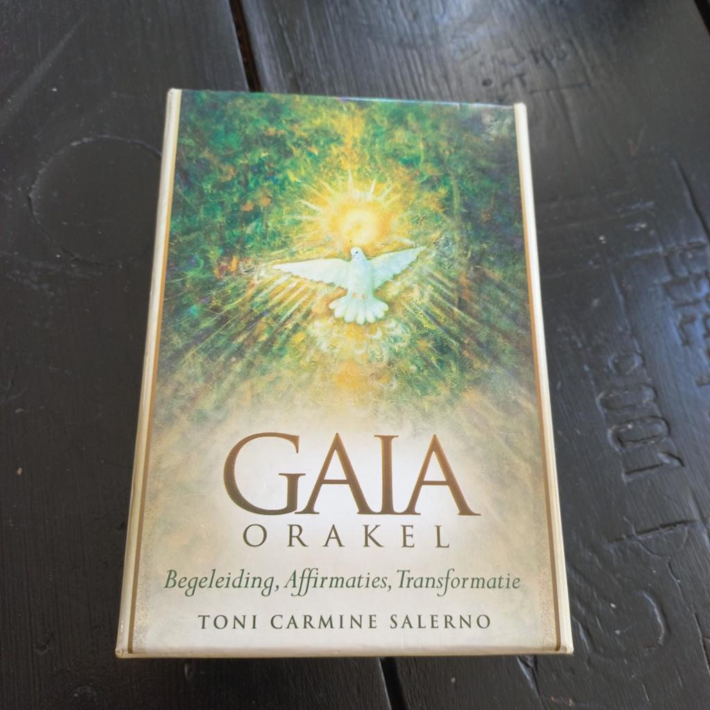 Toni Carmine Salerno - Handleiding, Tarot of Kaarten leggen, Overige typen, Zo goed als nieuw, Toni Carmine Salerno