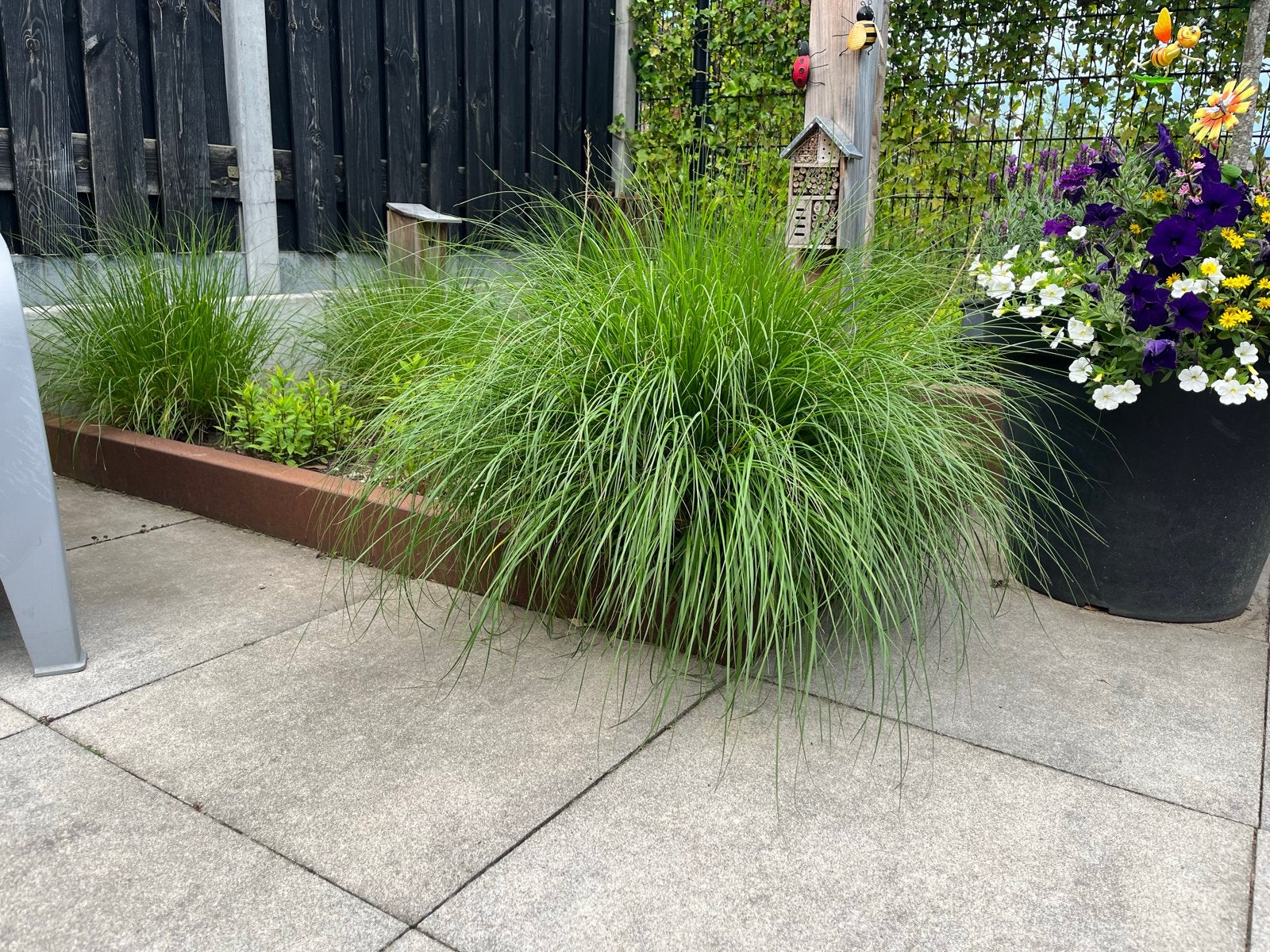 Cortenstaal bak, Ophalen, Minder dan 30 cm, 100 cm of meer, Zo goed als nieuw