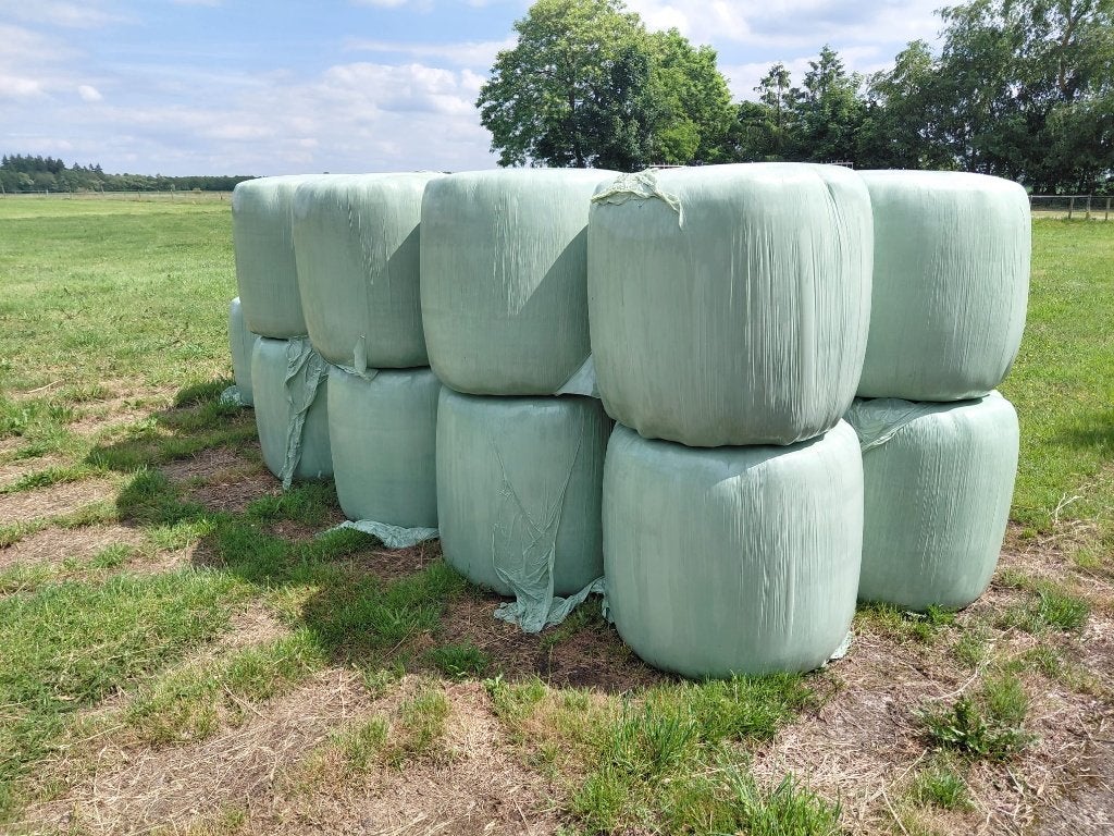 Midi balen hooi, Dieren en Toebehoren, Dierenvoeding, Ophalen, Vee