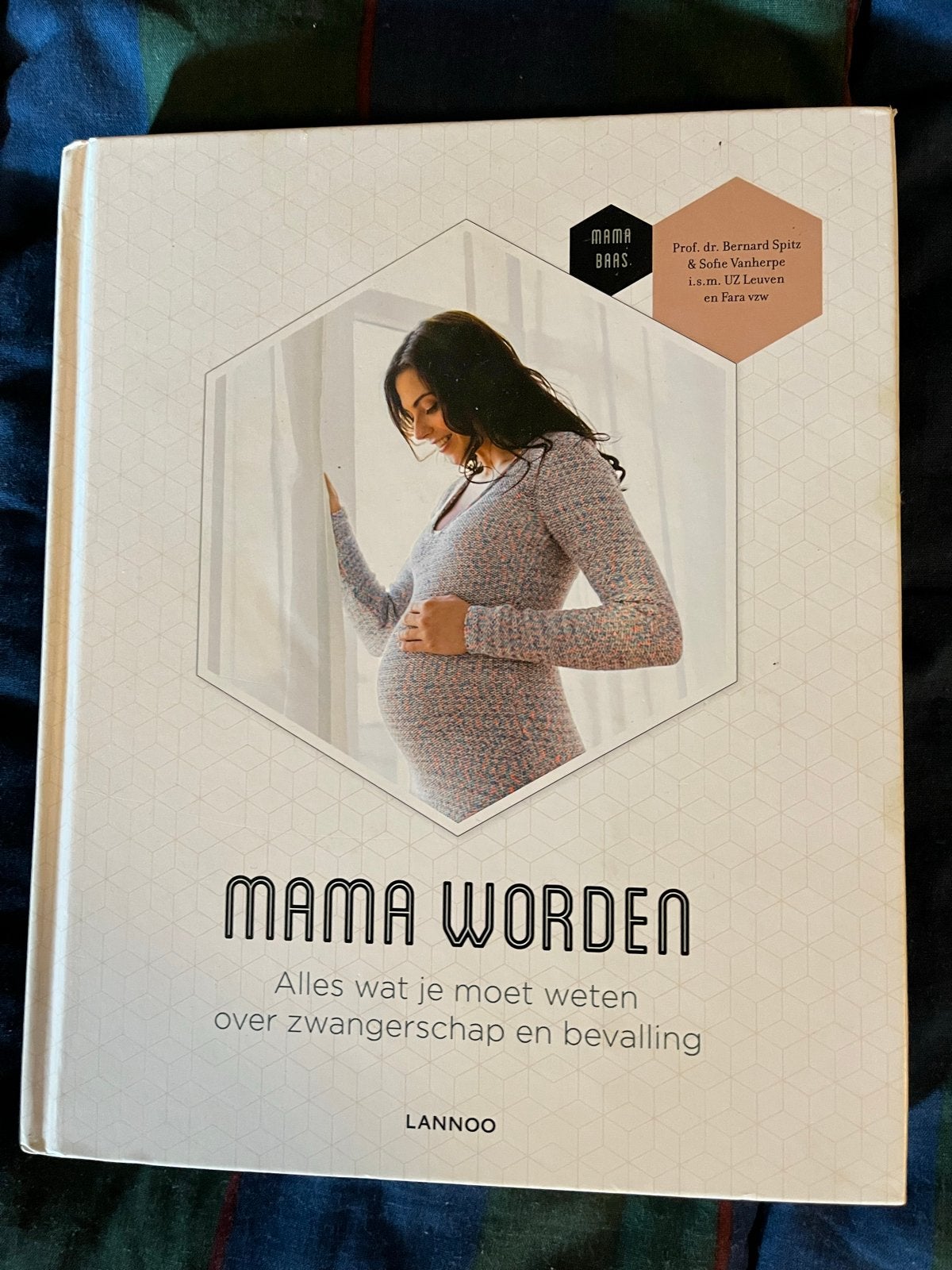 Mama Worden: Alles over zwangerschap en bevalling, Boeken, Zwangerschap en Opvoeding, Ophalen of Verzenden, Gelezen, Zwangerschap en Bevalling