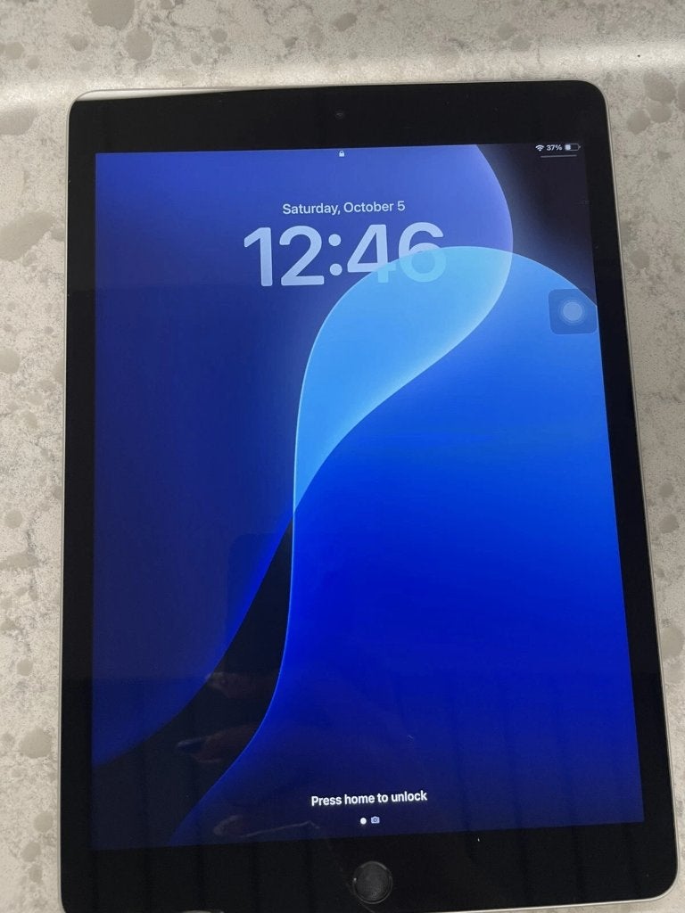 ipad 9th generation 256gb Wi-Fi + Cellular (4G), Computers en Software, 10 inch, Apple iPad, Ophalen of Verzenden, Zo goed als nieuw