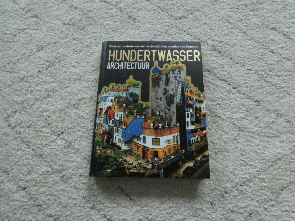Hunsertwasser architectuur, Ophalen of Verzenden, Zo goed als nieuw, Overige onderwerpen