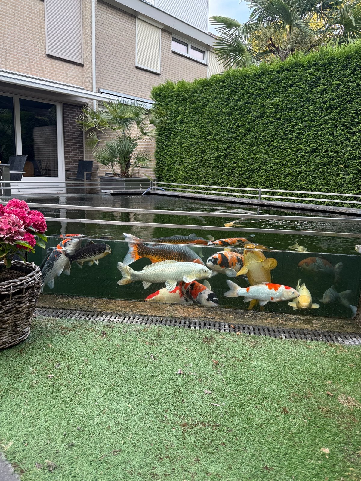 Koi vissen, filtersystemen etcetera, Ophalen of Verzenden, Zo goed als nieuw