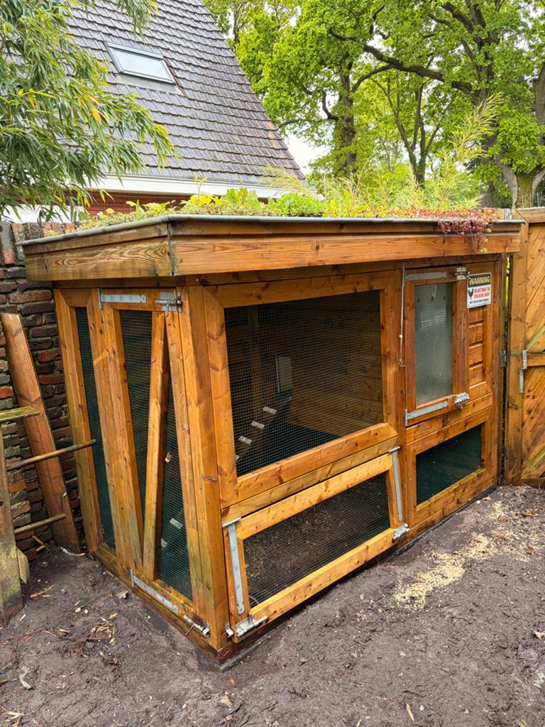 Oerdegelijk door timmerman gebouwd kippenhok met sedumdak, Dieren en Toebehoren, Pluimvee | Toebehoren, Ophalen, Zo goed als nieuw