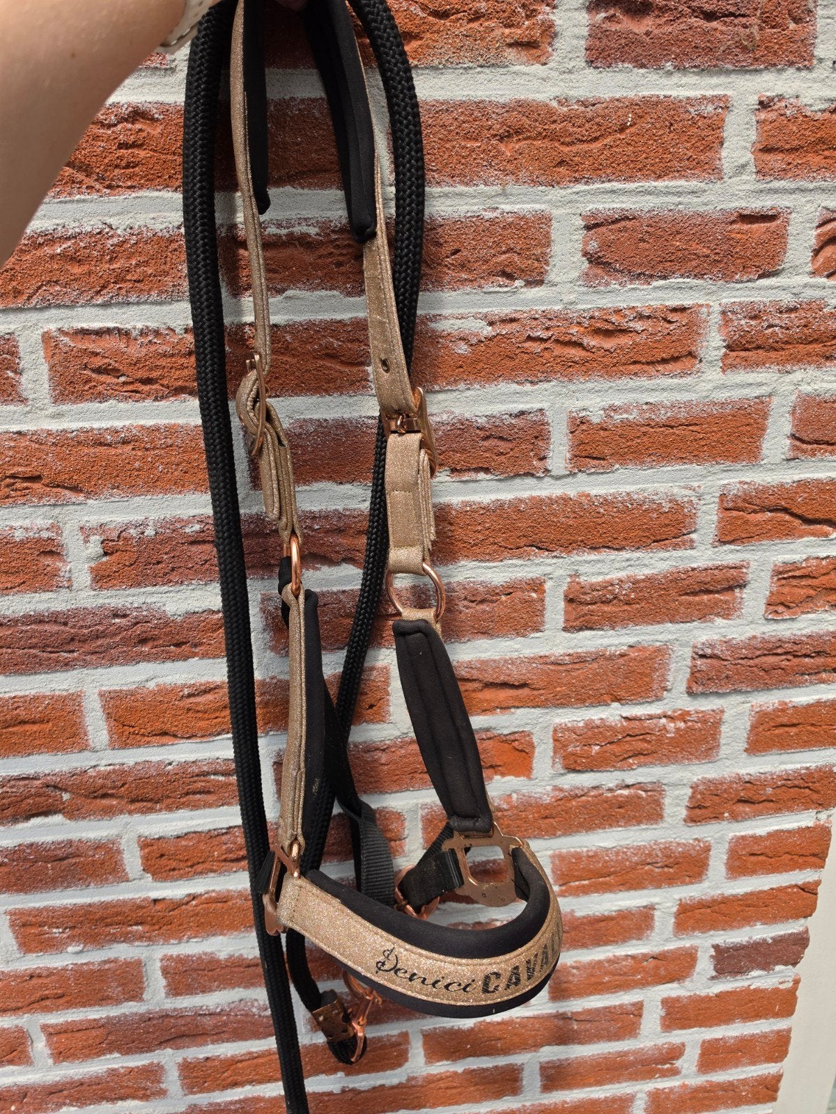 Halster Rosegoud met touw, Ophalen, Gebruikt, Halster, Full