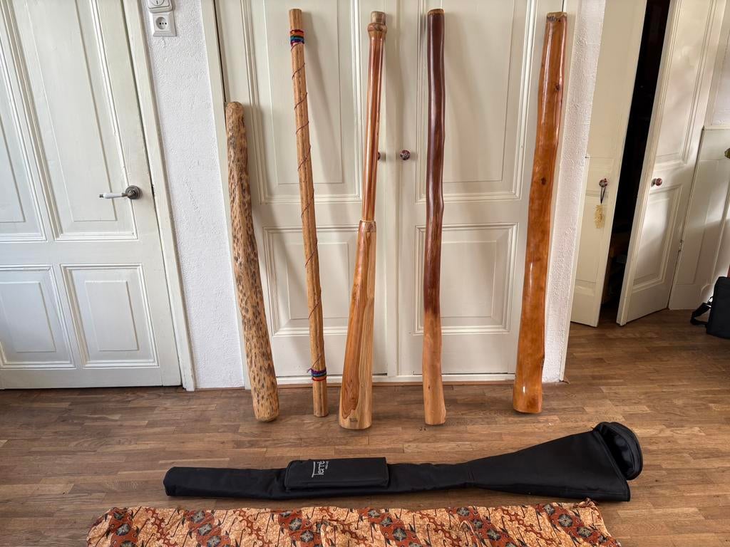 Didgeridoo’s en rainsticks, zie tekst!, Muziek en Instrumenten, Blaasinstrumenten | Didgeridoos, Ophalen of Verzenden, Gebruikt