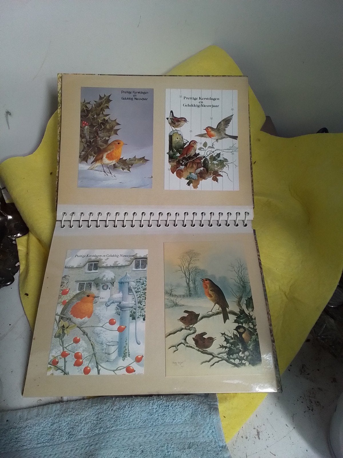 15616) plakboek met kaarten van vogels, Ophalen of Verzenden, Overige thema's