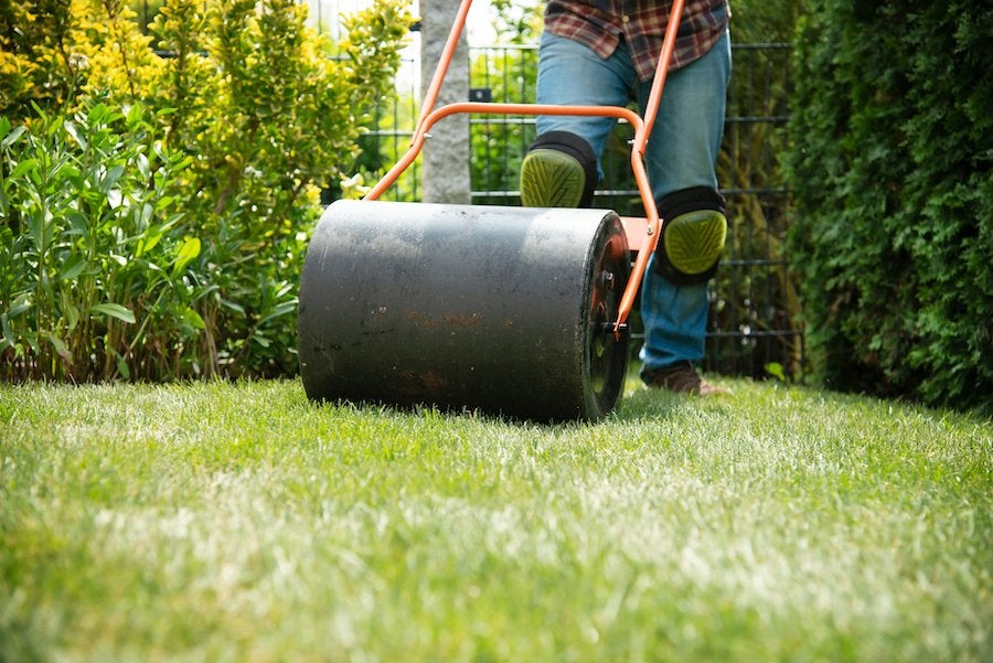 GRAS We snijden Graszoden. Vandaag leggen. Zoden op voorraad, Tuin en Terras, Ophalen of Verzenden, Vaste plant, Bodembedekkers