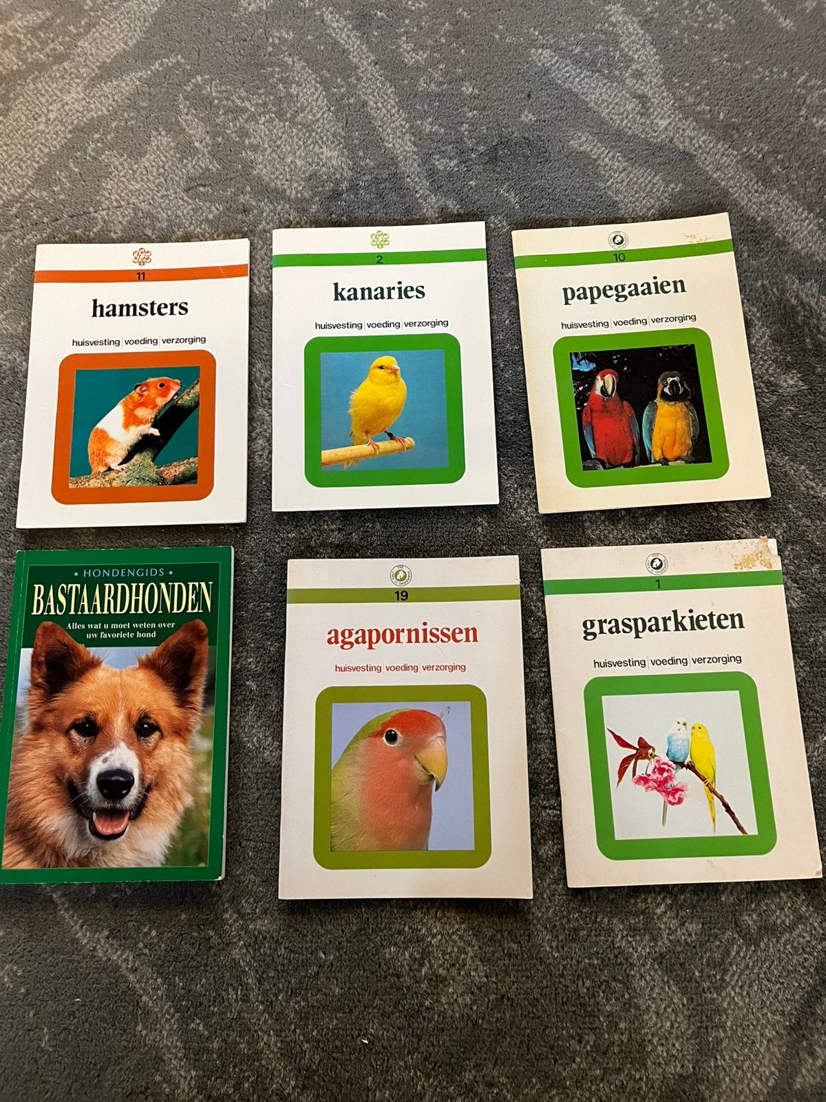 Dieren boekjes (6 stuks), Ophalen of Verzenden, Gelezen, Overige diersoorten