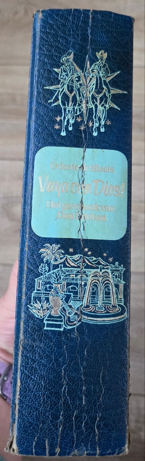 C. de Blasis - Vaya con Dios! Het geschenk van Don Esteban, Boeken, Ophalen of Verzenden, Gelezen, Celeste de Blasis