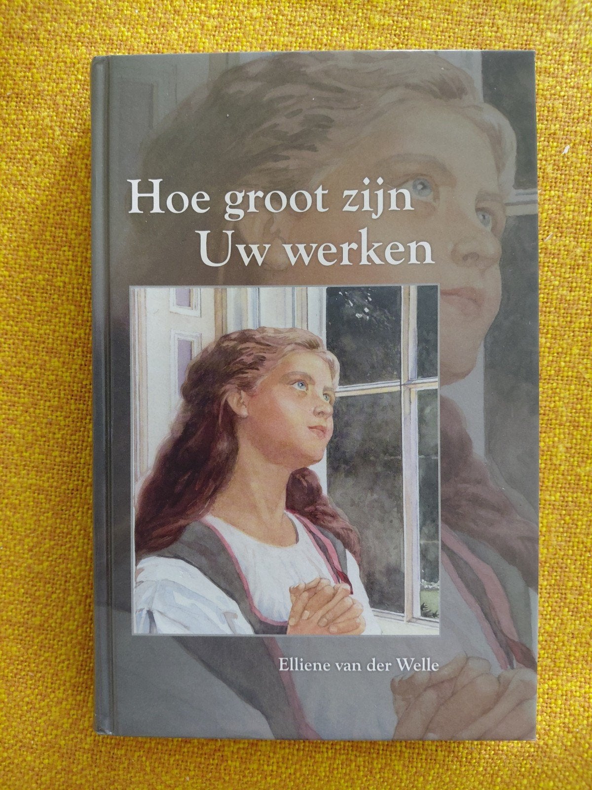 Elliene van der Welle - Hoe groot zijn Uw werken, Boeken, Ophalen of Verzenden, Zo goed als nieuw, Elliene van der Welle