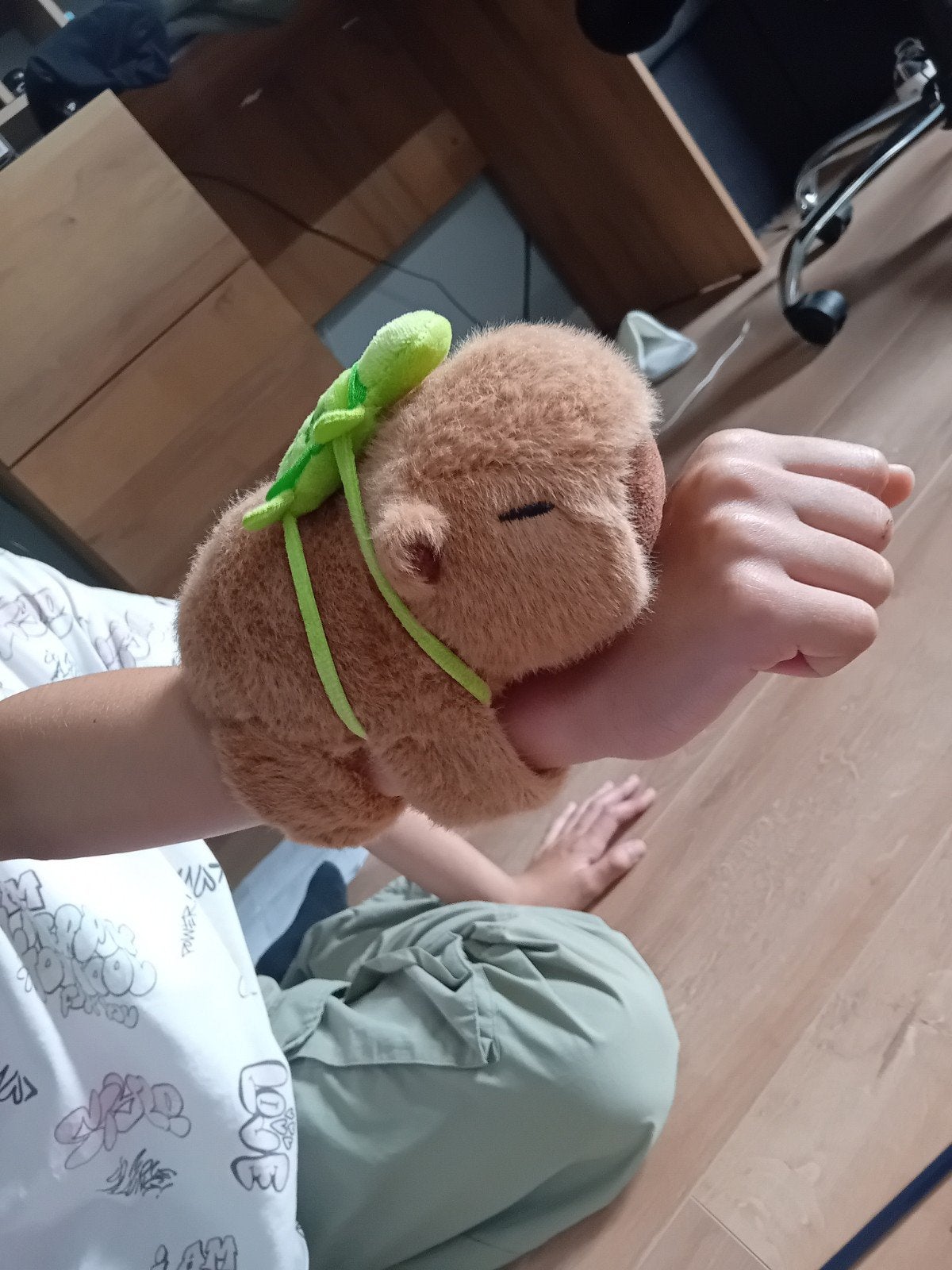 Schattige Capybara Knuffel met Schildpad op Rug, Ophalen, Overige merken, Overige karakters, Overige typen