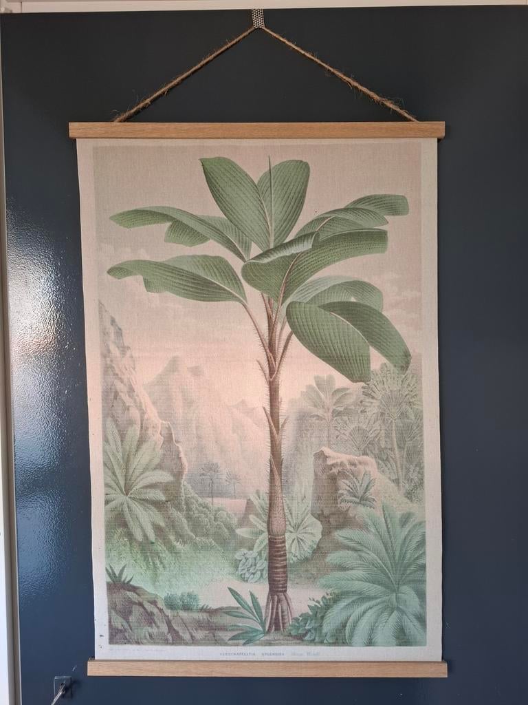 Botanische Poster - Decoratieve Wanddecoratie, Ophalen of Verzenden, Zo goed als nieuw