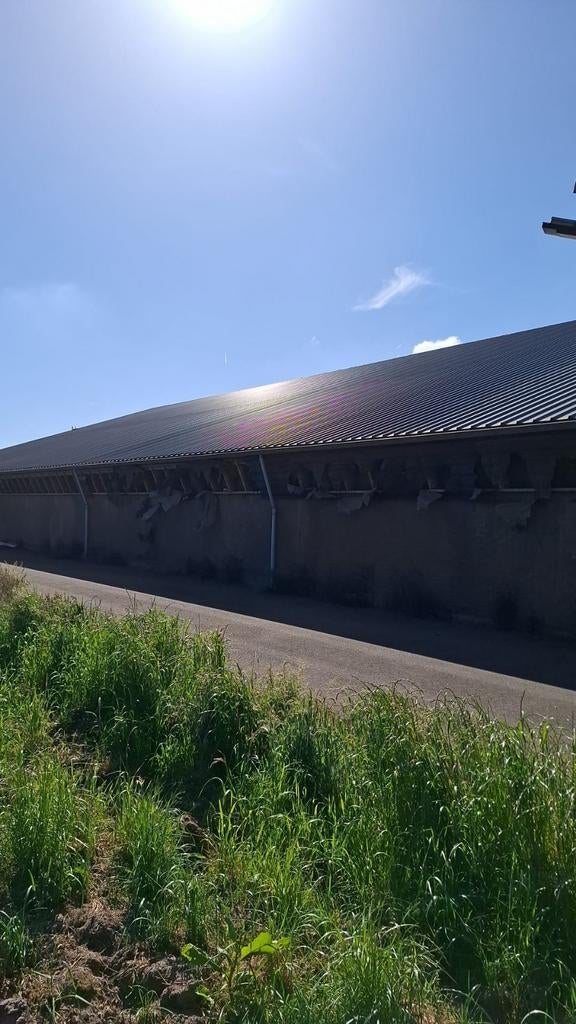 Gebruikte Sandwichpanelen, Ophalen, Gebruikt, Overige materialen