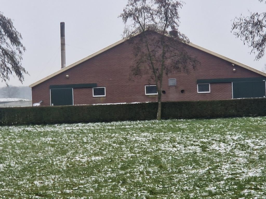 Stalen balken van staalconstructie met toebehoren, Ophalen