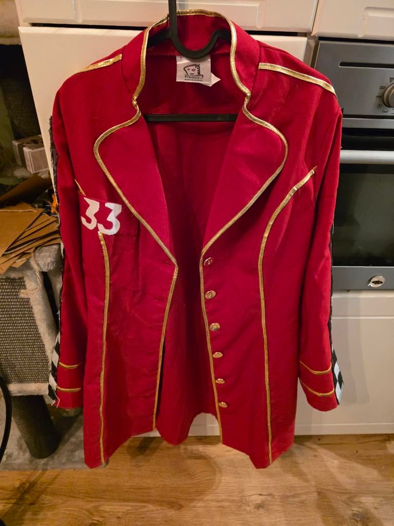 Formule 1 Jurk - L, Aangepast, Carnaval, Maat 42/44 (L), Ophalen of Verzenden, Zo goed als nieuw