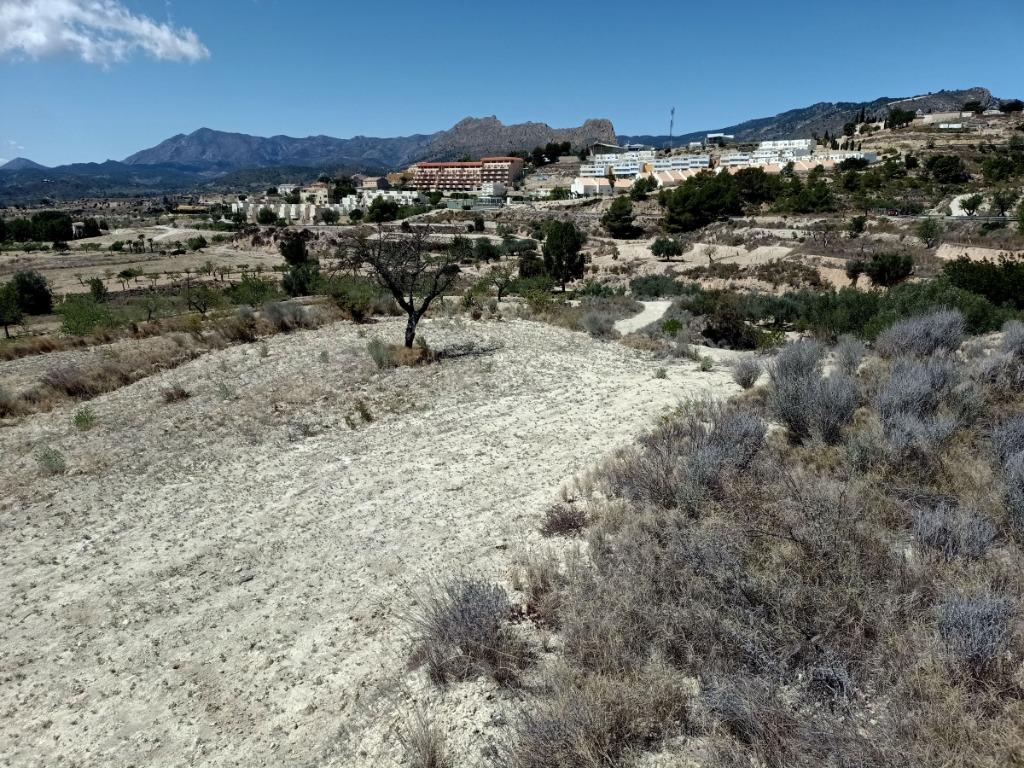 Costa Blanca, Relleu, 12.000m2 Bouwperceel nabij dorp, Huizen en Kamers, Buitenland, Kavel of Perceel, Relleu, Spanje, Landelijk
