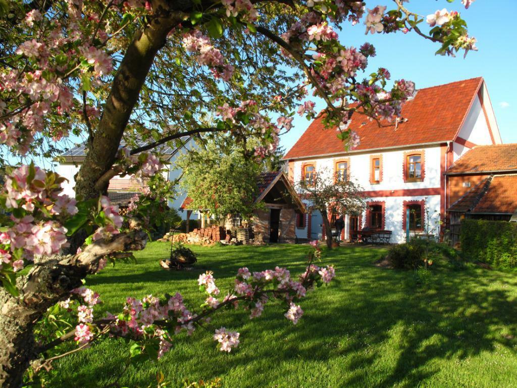 vakantiehuis duitsland / Weserbergland bij Sauerland te huur, 8 personen, Wasmachine, Overige regio's, Eigenaar