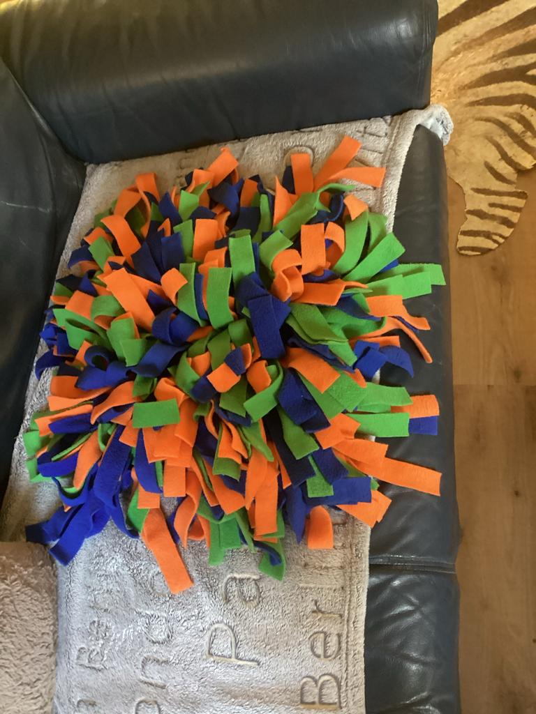 Grote snuffelmat voor honden, Dieren en Toebehoren, Ophalen of Verzenden, Zo goed als nieuw, Intelligentiespeelgoed