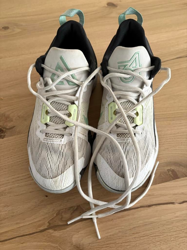 Nike basketbalschoenen maat 38.5 - Alpe D'HuZes, Ophalen, Gebruikt, Schoenen