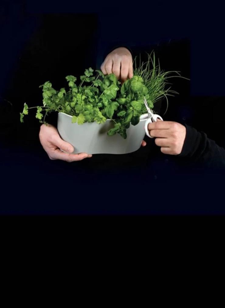 Mooie witte ROYAL VKB kruidenschaal, zonder schaar / planten, Kunststof, Binnen, Ophalen of Verzenden, Zo goed als nieuw