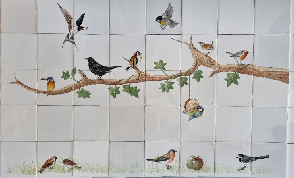 Echte Friese witjes De MOOISTE en BETAALBAAR!, Ophalen, Minder dan 20 cm, 10 m² of meer, Wandtegels