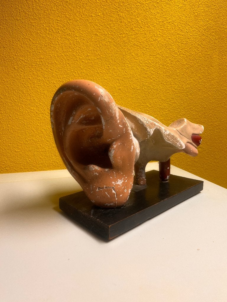 Antiek anatomisch oor model, Ophalen of Verzenden
