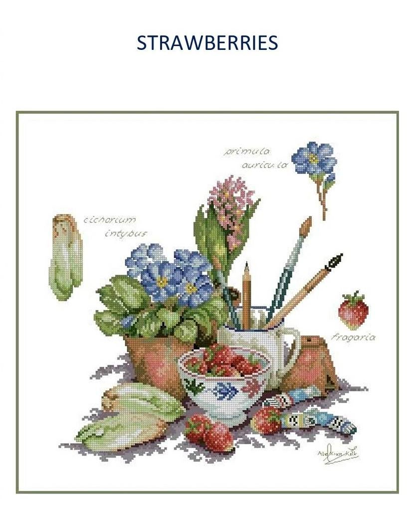 Borduurpatroon Strawberries, Hobby en Vrije tijd, Borduren en Borduurmachines, Verzenden, Nieuw, Patroon