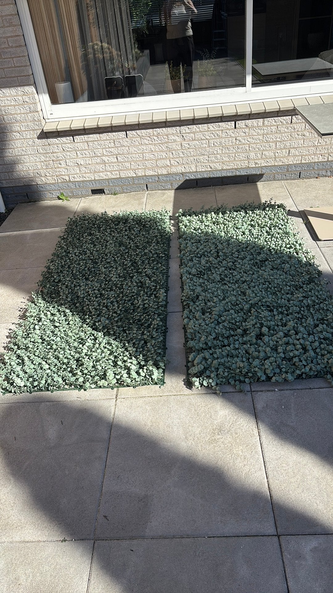 Kunsthaag planten op muur Matten, Ophalen of Verzenden, Overige soorten, Volle zon