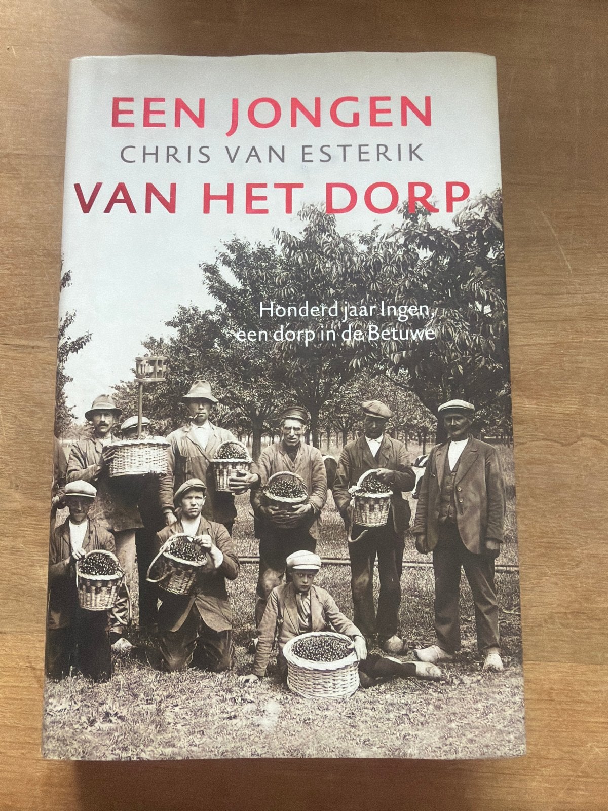 Een Jongen Van Het Dorp - Chris van Esterik, Boeken, Ophalen of Verzenden, 20e eeuw of later, Zo goed als nieuw