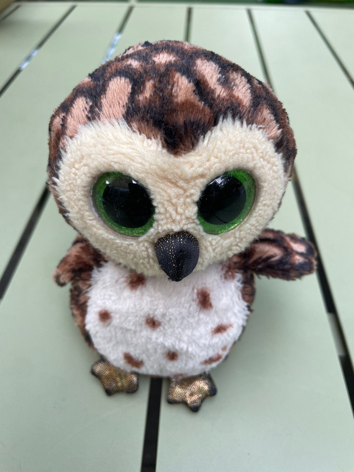 Ty Beanie Boo Uil Sammy, Ophalen, Overige typen, Klein (minder dan 20 cm), Bruin