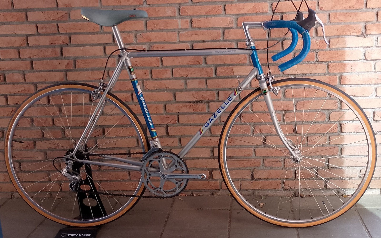 GAZELLE  Champion Mondial - Reynolds 531 Competition (!), Ophalen, 28 inch, Velgrem, Gazelle