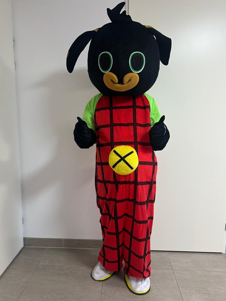 Bing mascotte te huur, Hobby en Vrije tijd, Feestartikelen | Verhuur, Ophalen of Verzenden, Zo goed als nieuw, Overige