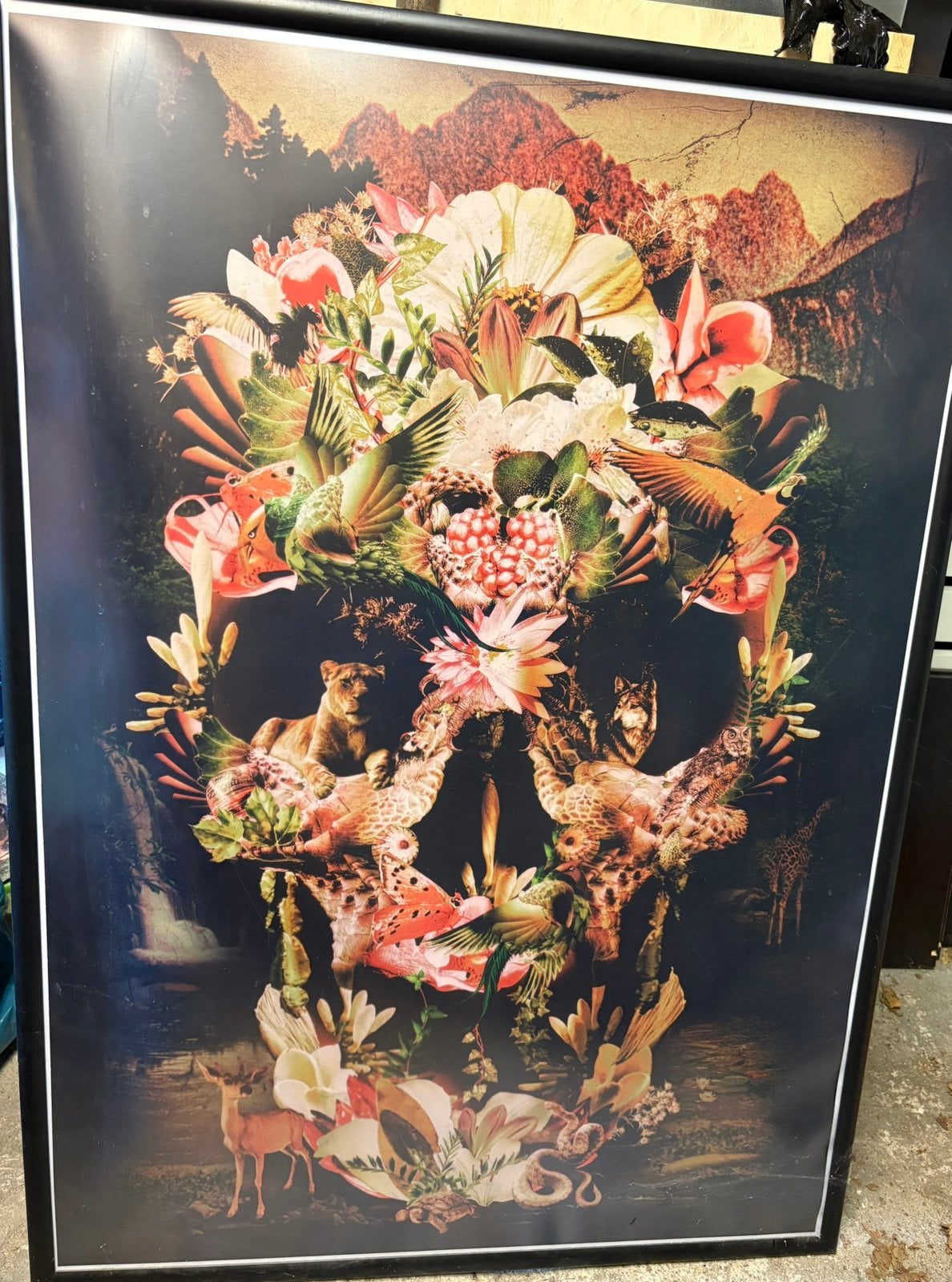Grote schedelposter jungle skull, Ophalen, Rechthoekig Staand, Zo goed als nieuw, A1 t/m A3