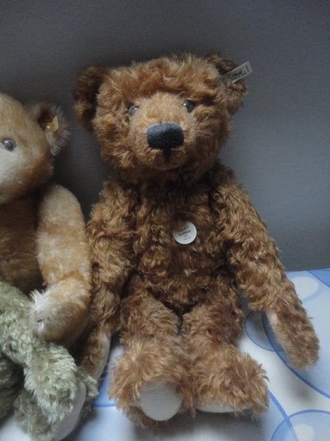 1 x Steiff 1905 CINNAMON BEAR 50 + BOX / doos, teddy beer, Verzamelen, Ophalen of Verzenden, Zo goed als nieuw, Stoffen beer, Steiff