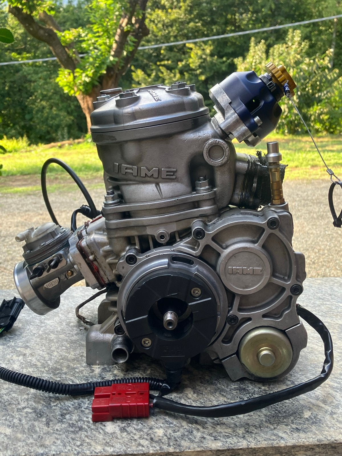 IAME KF 36 CV Parrilla Reedster, Ophalen of Verzenden
