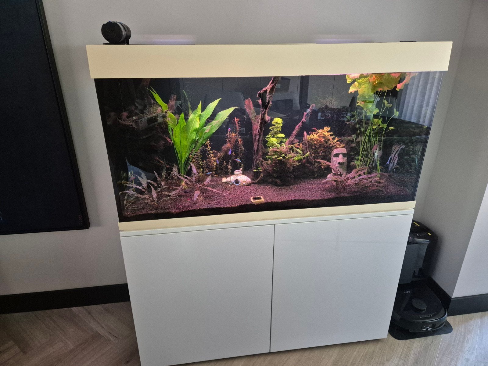 complete  tropische aquarium 120cm, Dieren en Toebehoren, Vissen | Aquaria en Toebehoren, Ophalen