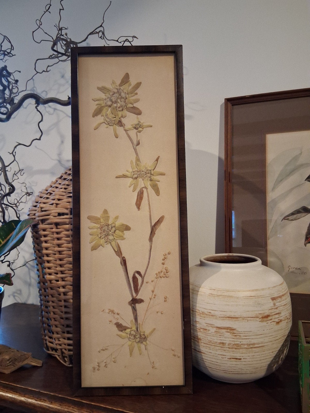 Vintage Edelweiss droogbloemen in lijst.
46x15,5 cm., Minder dan 50 cm, Gebruikt, Oorspronkelijke maker, Overige typen