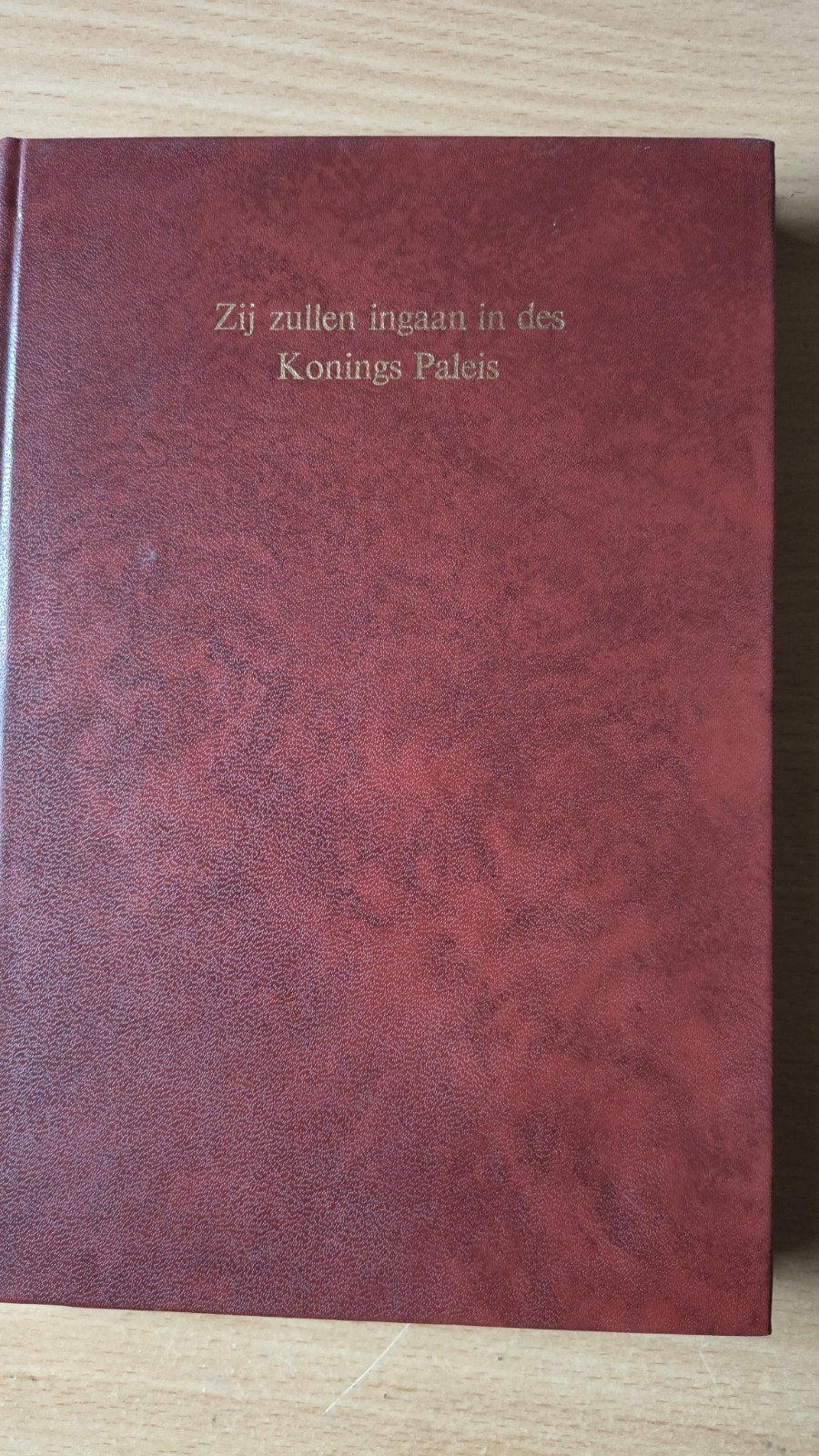 Zij zullen ingaan in des konings paleis. Ds Chr van Dam e/a, Boeken, Christendom | Protestants, Ophalen of Verzenden, Zo goed als nieuw