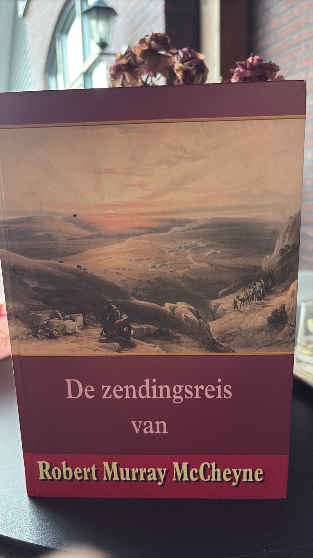 De zendingsreis van Robert Murray McCheyne, Ophalen of Verzenden, Gelezen, R. Murray MacCheyne