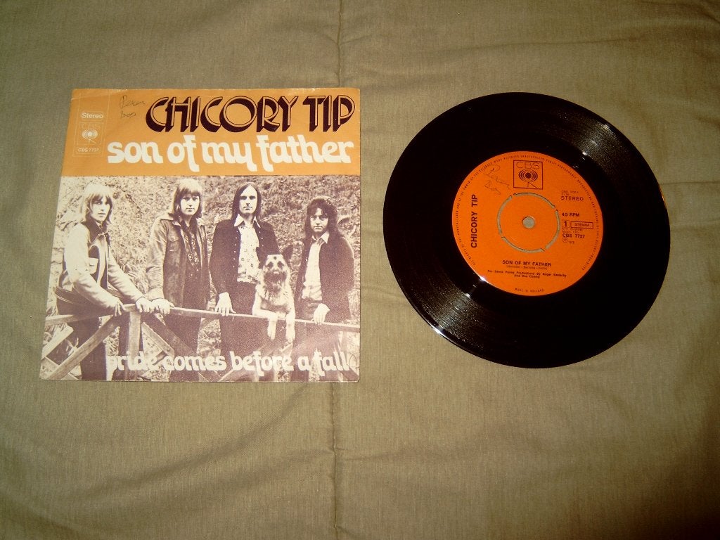 12 singles in diverse genres te koop (14), Ophalen of Verzenden, Gebruikt, Pop